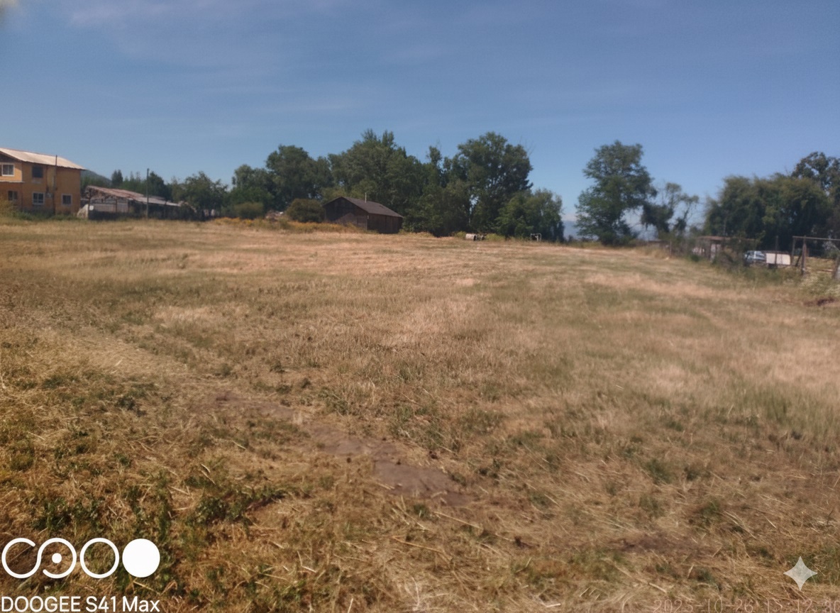 Vista amplia del terreno y las casas